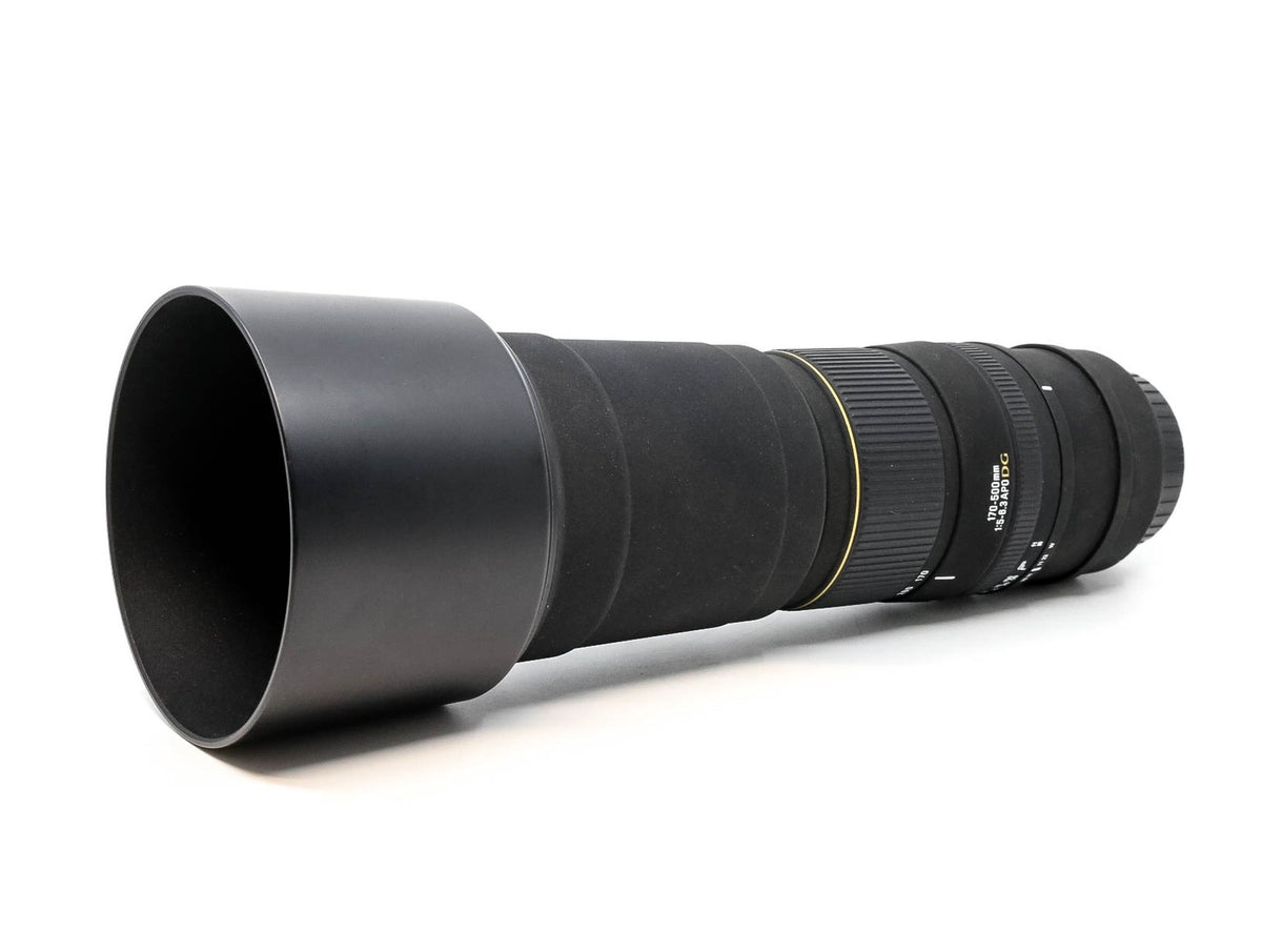 Sigma 170-500mm f/5-6.3 APO - Canon EF Fit · imagen principal