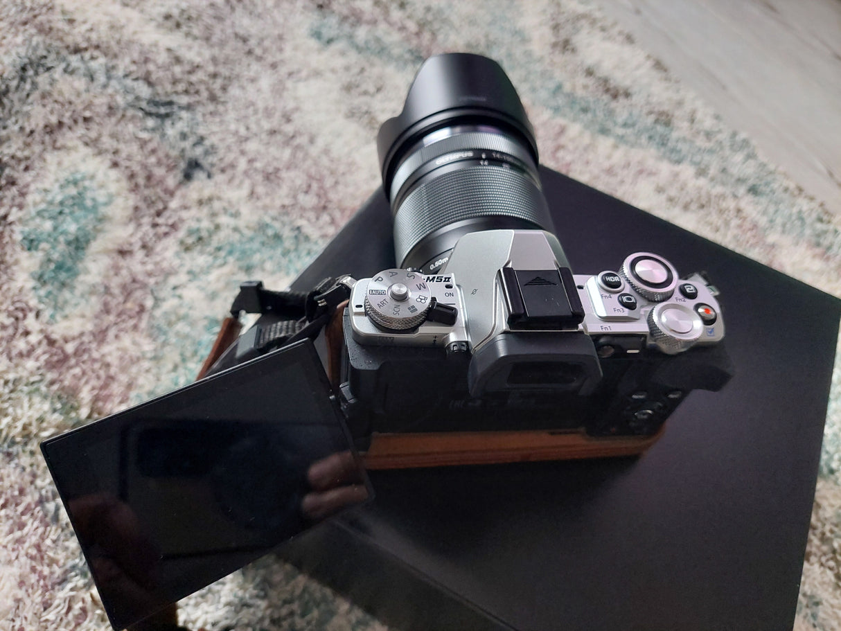 OlympusE-M5 mark ll46aba56d-fa53-4944-bc59-7fe0235a1d0e