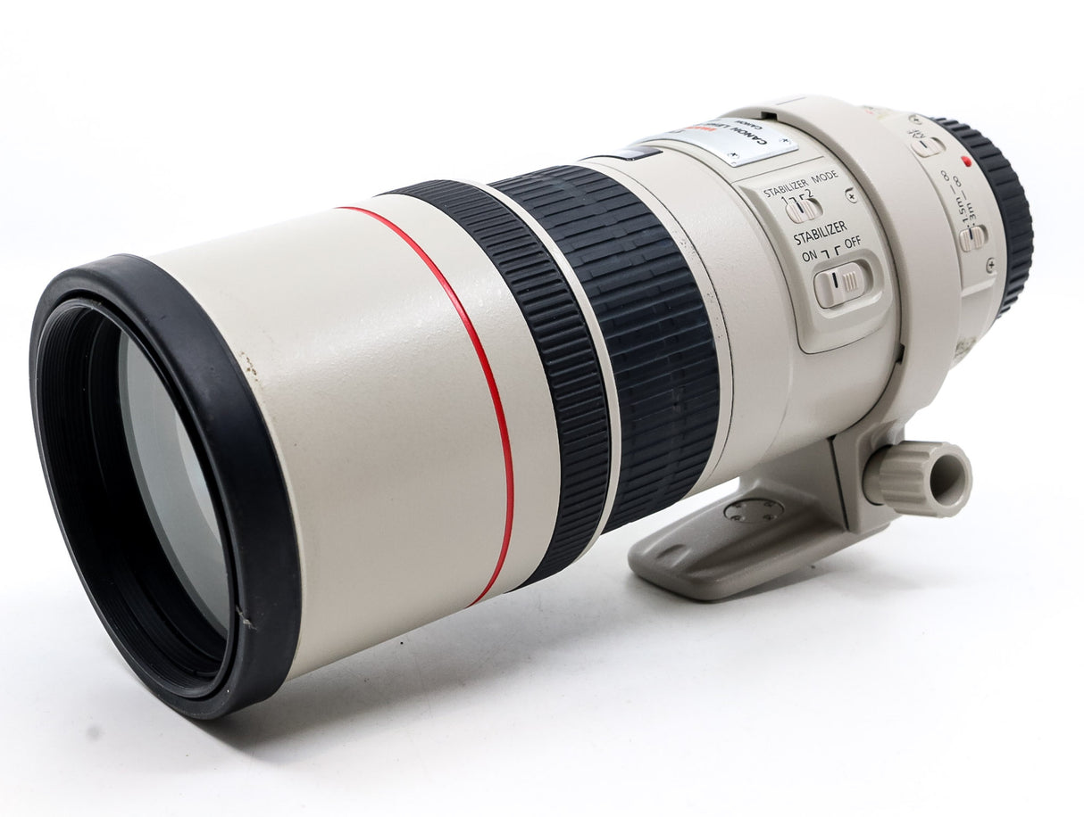 Canon EF 300mm f/4 L USM