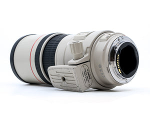 Canon EF 300mm f/4 L IS USM