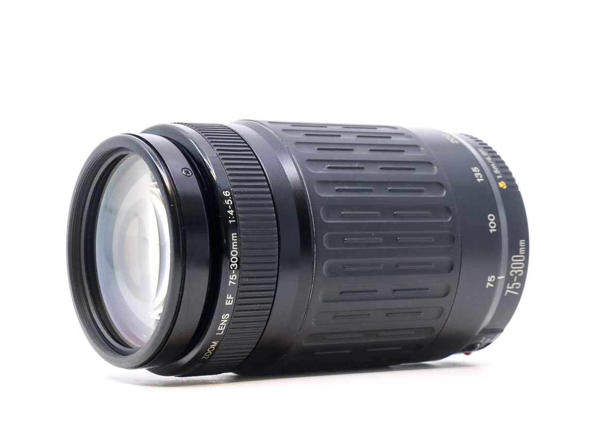 Canon EF 75-300mm f/4-5.6